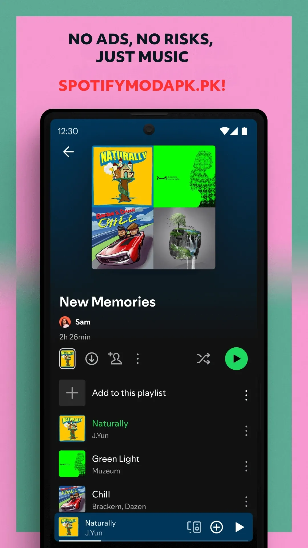 Spotify Mod  screenshot
